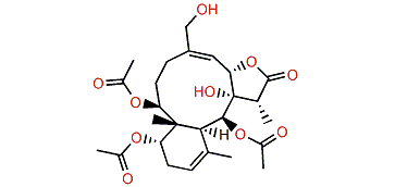 Stylatula lactone B